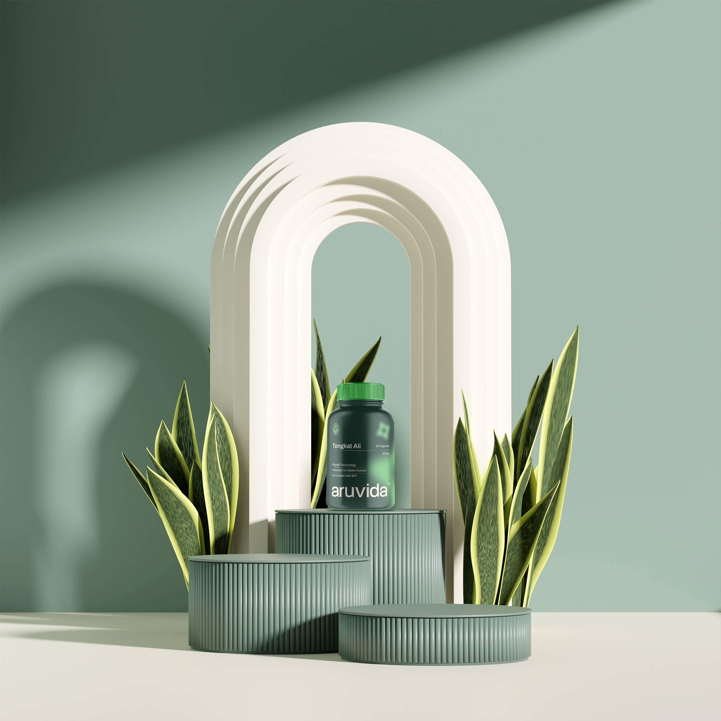 Aruvida product packaging mockup